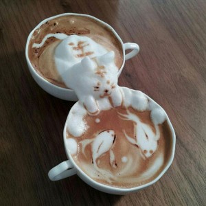latte kitten